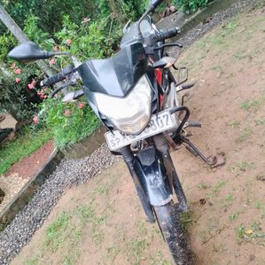 Bajaj Pulsar 135 2012 - Image 2