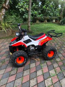 Electric Atv 2011