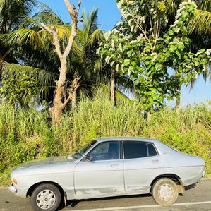 Nissan Sunny 1983 - Image 4