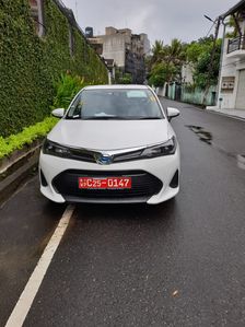 Toyota Axio EX 2023
