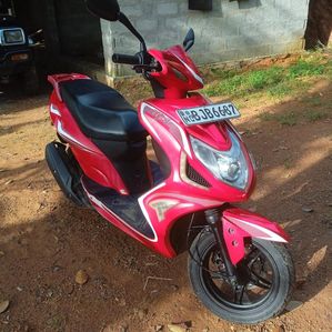 Ranomoto Sweety 2021 - Image 3