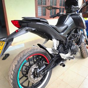 Demak DXT Dart 2017 - Image 3