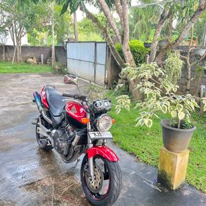 Honda CB Hornet 2023 - Image 2