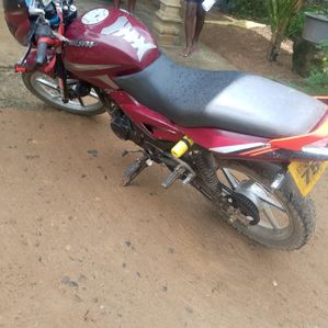Bajaj Pulsar 150 2007 - Image 2