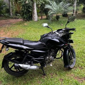 Bajaj Pulsar 135 2011 - Image 2