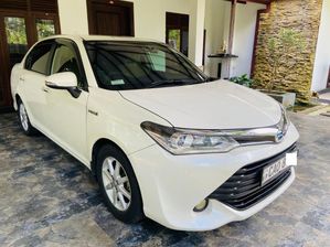 Toyota Axio 2015