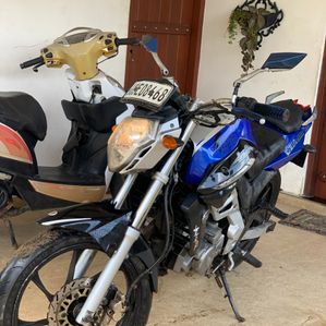 Demak DZM 200 2017 - Image 2