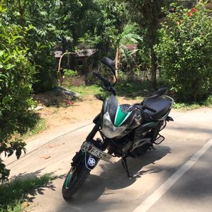 Bajaj XCD 2009 - Image 2