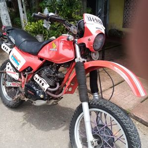 Honda XLR 250 1999 - Image 3