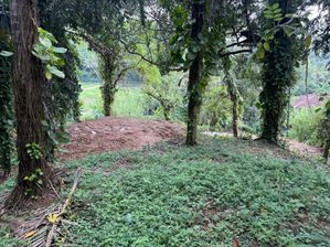 Prime Land for Sale in Mirissa