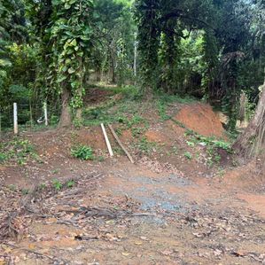 Prime Land for Sale in Mirissa - Image 2