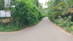 Valuable Land Sale Tangalle