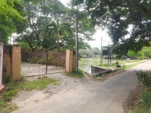 காணியுடன் கூடிய வீடு விற்பனைக்கு