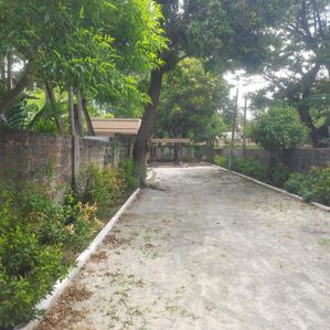 காணியுடன் கூடிய வீடு விற்பனைக்கு - Image 2
