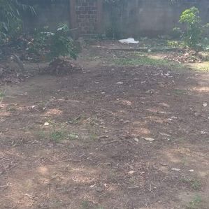 11 Perch Land for Sale Nawagamuwa - Image 4