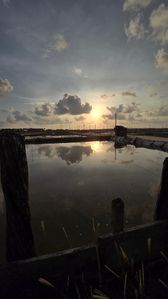 Saltern Land in Puttalam for Sale