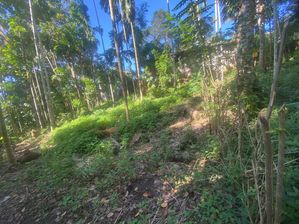 Land for Sale Balangoda