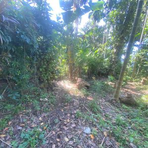 Land for Sale Balangoda - Image 3