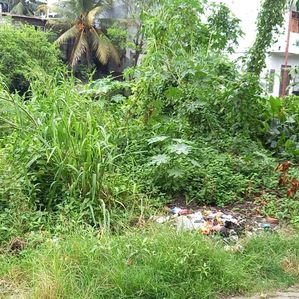 17 Perches of Land for Sale in Brandiyawatta, Wellampitiya - Image 4