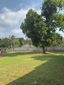 Land for Sale in Kadawatha
