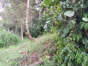 Telijjawila Land for Sale