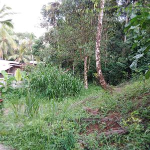 Telijjawila Land for Sale - Image 2