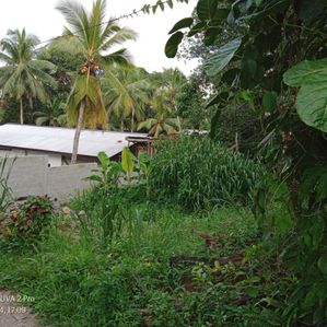 Telijjawila Land for Sale - Image 3