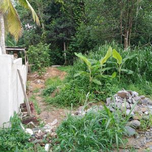 Telijjawila Land for Sale - Image 4