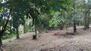 Valuable Land of 40 Perches is for Sale in Kadawatha