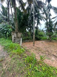 Land for sale in Pannipitiya Arawwala