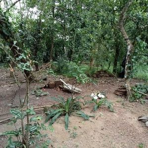 Land for Sale in Siddamulla - Image 2