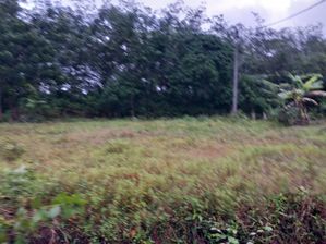 Land for Sale Horana