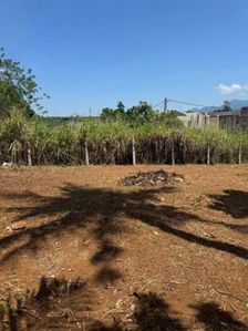 Land for Sale In Kadawatha Town