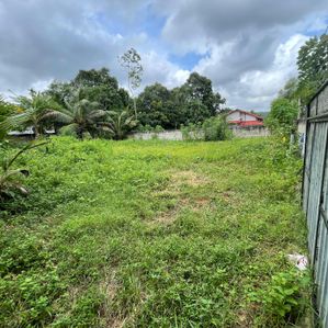 Land for sale in Walikala Road, Pokunuwita - Image 3