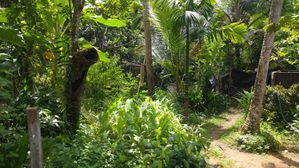 Land for Sale in Gampaha-Oruthota