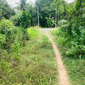 Land For Sale In Nikawaratiya - Image 2