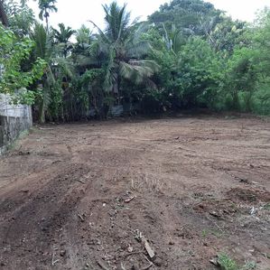 ඉඩමක් විකිණීමට මොනරගල - Image 2
