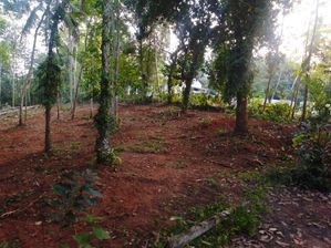 බණ්ඩාරගම නගරයට ආසන්නව Land for Sale