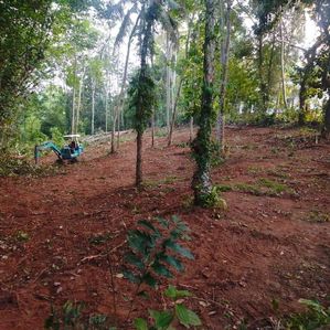 බණ්ඩාරගම නගරයට ආසන්නව Land for Sale - Image 2