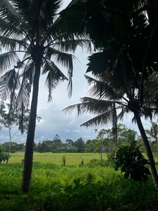 Land for Sale in Malabe