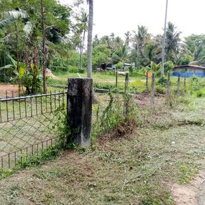 221- ගිරිඋල්ල -මිරිගම පාරට ආසන්නයෙන් අගනා ඉඩමක් - Image 2