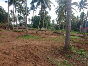 කුරුණෑගල නගරයේන් ඉඩමක්