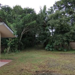 කළුතර හොරණ පාර,ගල්පාතින් අගනා ඉඩමක් - Image 2