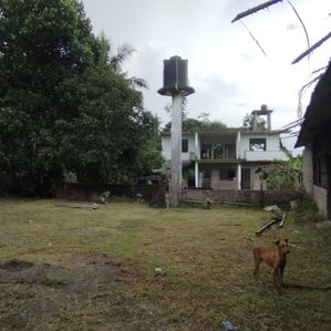කළුතර හොරණ පාර,ගල්පාතින් අගනා ඉඩමක් - Image 3