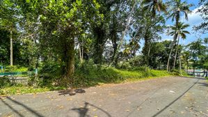Prime Residential Land for Sale – Polwatta Road, Thalawathugoda