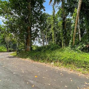 Prime Residential Land for Sale – Polwatta Road, Thalawathugoda - Image 2