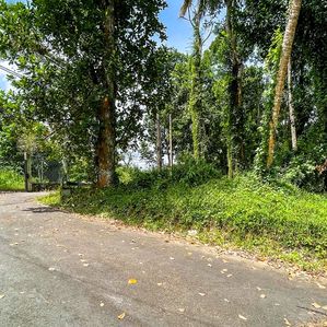 Prime Residential Land for Sale – Polwatta Road, Thalawathugoda - Image 3