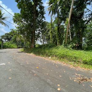 Prime Residential Land for Sale – Polwatta Road, Thalawathugoda - Image 4