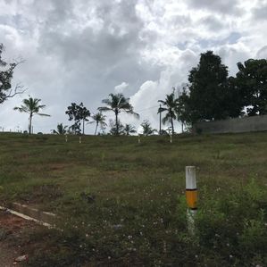 Land for Sale in Hapugala - Image 2