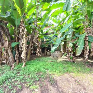 Nugegoda : 16 Perches High Commercial Land for Sale in Mirihana - Image 3